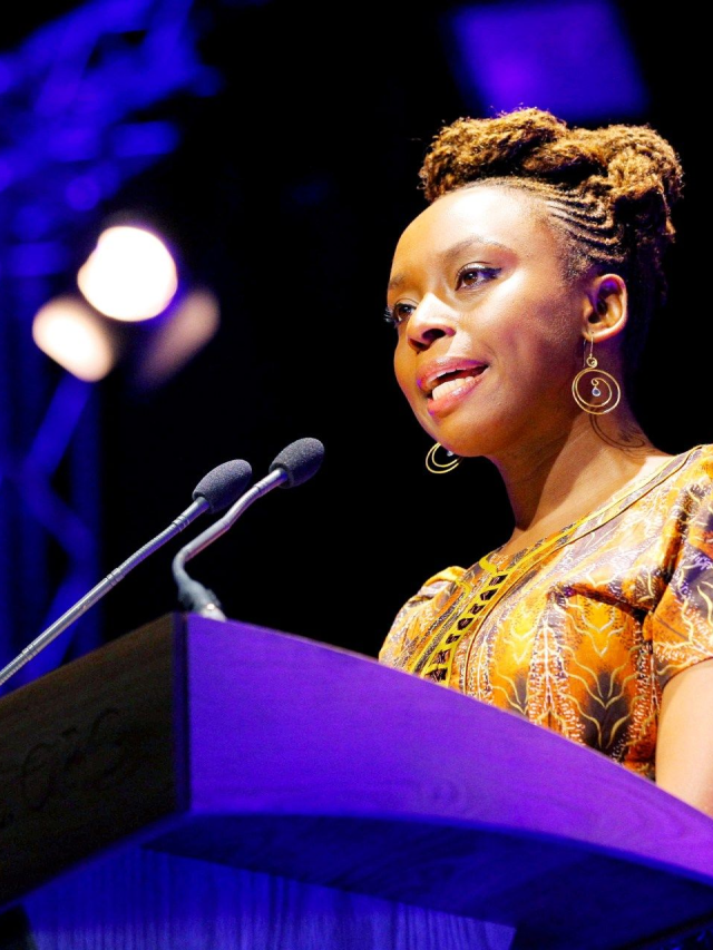 O perigo de uma história única