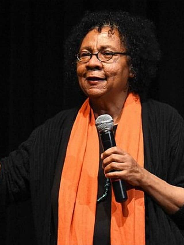 bell hooks, a mulher negra das minúsculas
