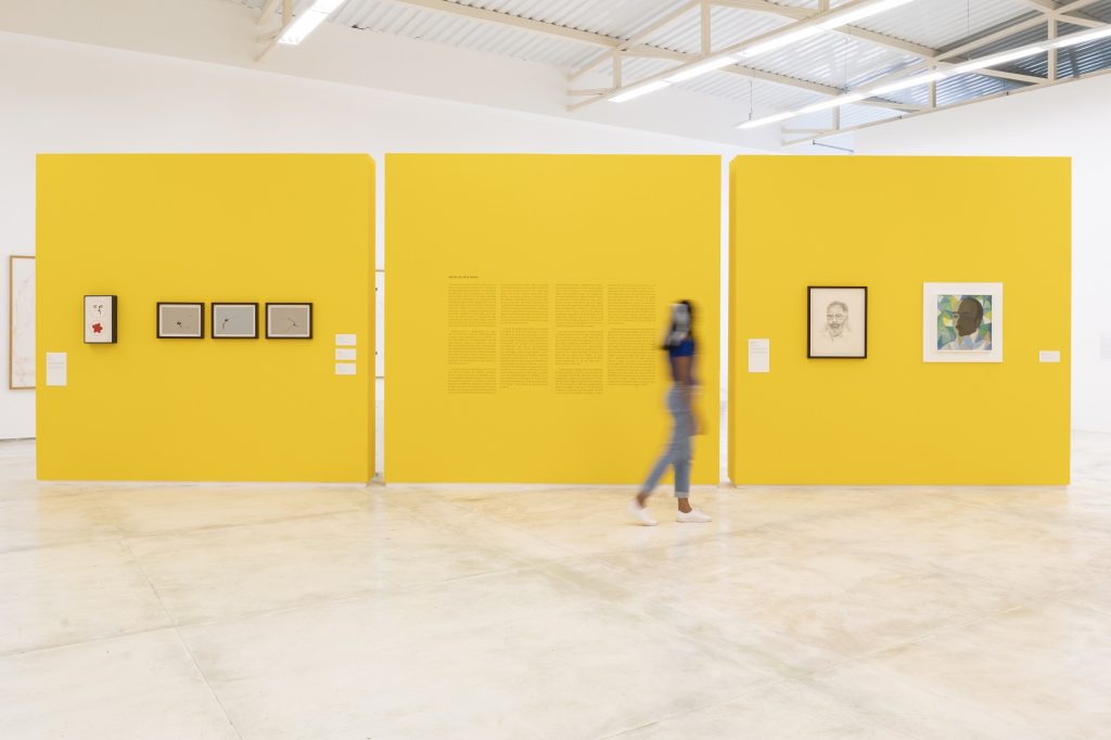 Vistas da exposicao Abdias Nascimento Tunga e o Museu de Arte Negra na Galeria Mata Inhotim . Ph Icaro Morenojpg 1