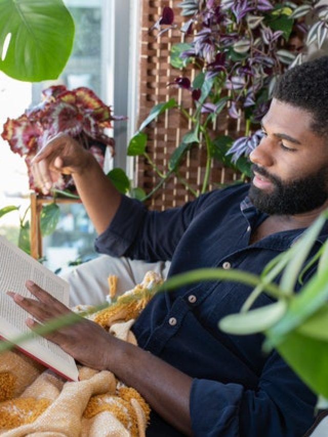 Livros para descolonizar a mente