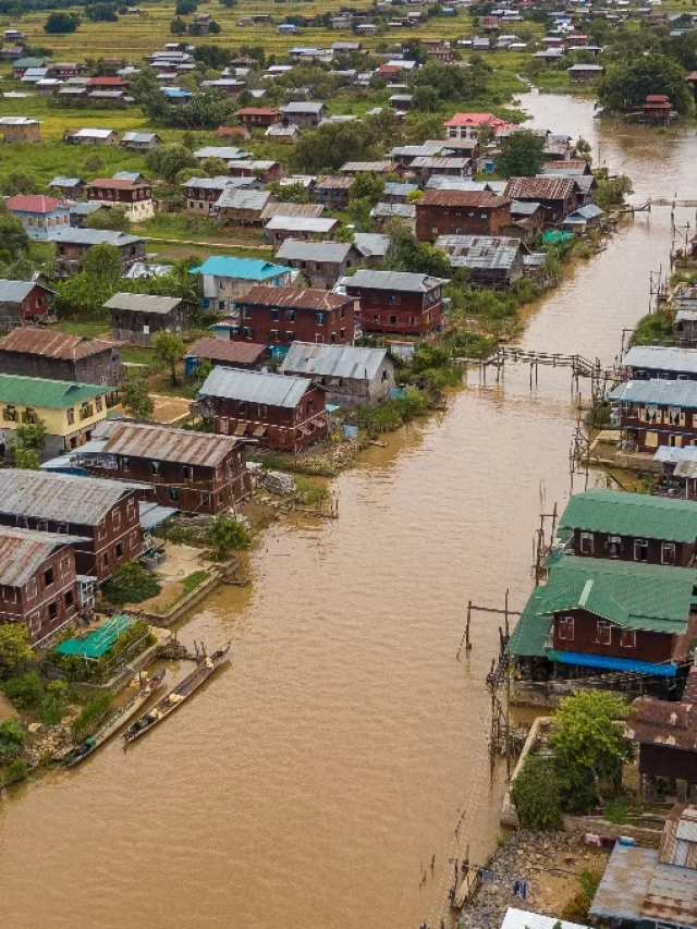 A BAHIA PRECISA DE VOCÊ! SAIBA COMO AJUDAR!